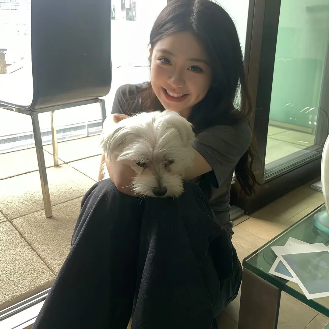 疯狂马迷
